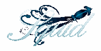 Squid
